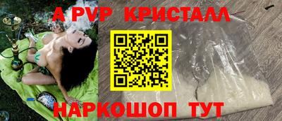 спиды Новозыбков