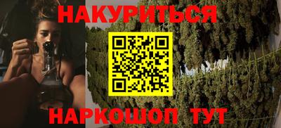 спиды Новозыбков