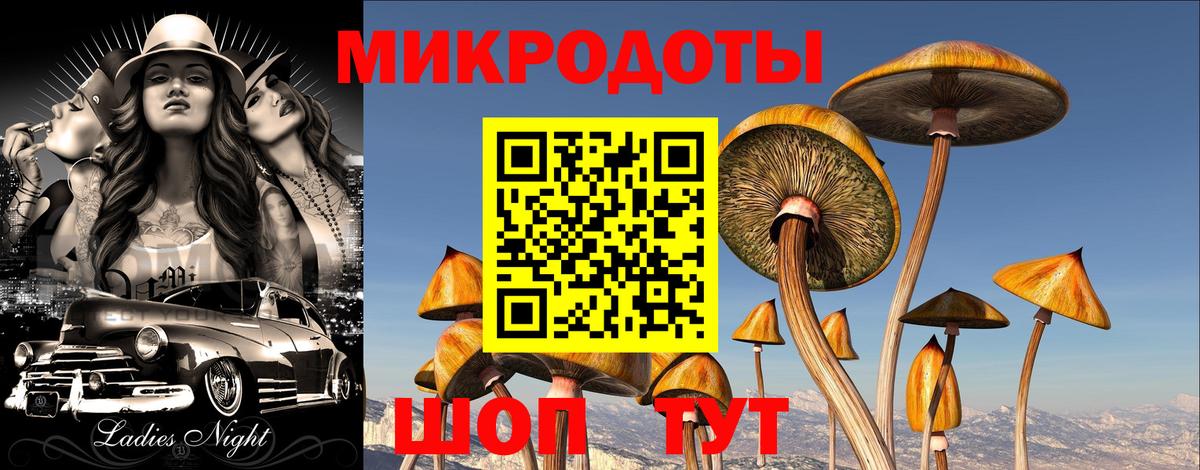 Сухой Лог  Галлюциногенные грибы GOLDEN TEACHER  Вход с VPN 